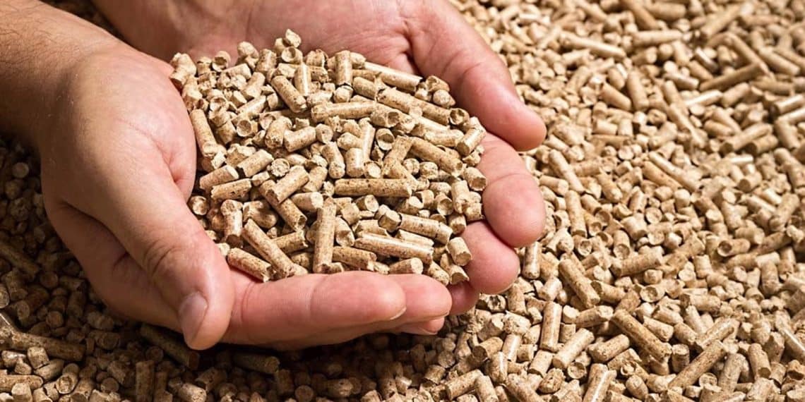 سعر الأعلاف اليوم في مصر