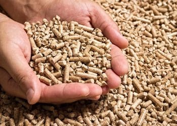 سعر الأعلاف اليوم في مصر الخميس 23 نوفمبر 2023 .. إليكم المفاجأة المنتظرة لأصحاب المزارع