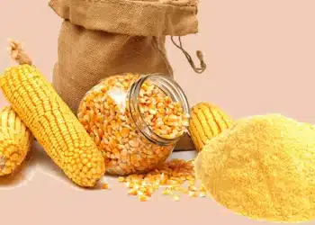 سعر طن الذرة الصفراء اليوم في مصر الأربعاء 15 نوفمبر 2023 .. مفاجأة بعد زيادة أمس