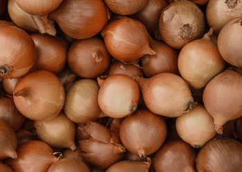 سعر البصل اليوم اليوم 6 فبراير 2024 .. لن تتخيل ثمن سعر الكيس الكبير