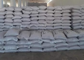 سعر الأعلاف اليوم في مصر الجمعة 24 نوفمبر 2023 .. فرصة للشراء يا أصحاب المزارع