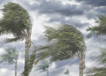 رسميا .. العجيري العلمي يعلن عن موعد بداية موسم الشبط في الكويت ومدته