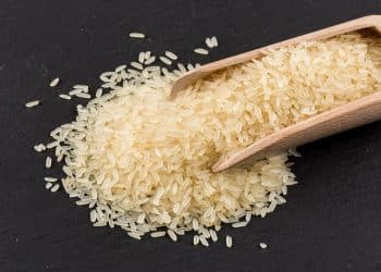 تراجع غير متوقعة قبل قليل .. سعر الأرز الشعير اليوم في مصر الجمعة 24 نوفمبر 2023