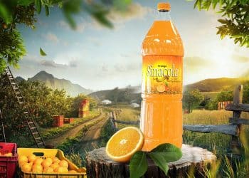 سعر سيناكولا اليوم الأربعاء 1 نوفمبر 2023 .. لن تتخيل كم ثمنها في مصر