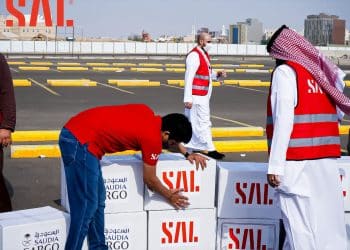 سال تعلن اكتتاب الأفراد في الأسواق السعودية بـ2.4 مليون سهم