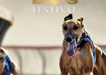 مهرجان الكلاب موسم الرياض .. ترك آل الشيخ عن أول مسابقة في العالم