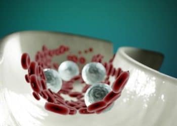 انواع النقل السلبي