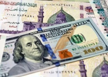 مع ترقب خفض الجنيه المصري.. تقلبات في سعر صرف دولار السوق السوداء