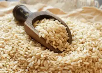 ارتفاع أسعار الأرز الشعير في مصر .. زيادة 1700 جنيه بالطن مرة واحدة