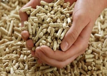 أسعار الأعلاف اليوم في مصر الثلاثاء 24 أكتوبر 2023 .. زيادة صادمة