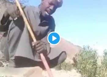 مقطع الذيب وراعي الغنم .. شاهده بالكامل من هنا