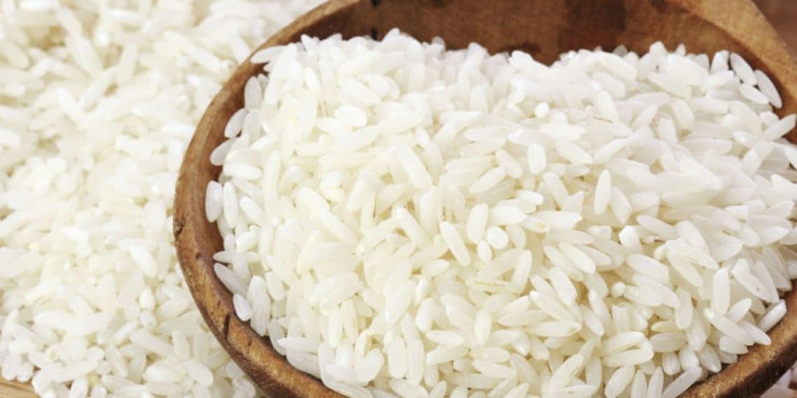 سعر الأرز الشعير اليوم في مصر