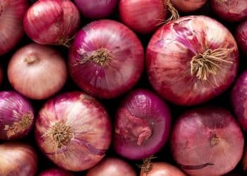 أزمة البصل في مصر