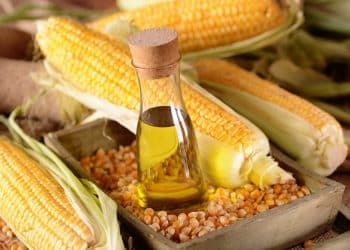 سعر طن الذرة الصفراء اليوم في مصر الجمعة 24 نوفمبر 2023 .. فرصة لا تعوض للمزارعين