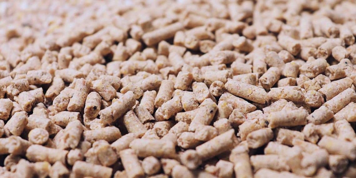 سعر الأعلاف اليوم في مصر