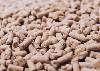 سعر الأعلاف اليوم في مصر الخميس 23 نوفمبر 2023 .. إليكم المفاجأة المنتظرة لأصحاب المزارع