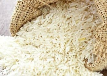 أسعار الأرز في مصر تسجل مستويات قياسية جديدة