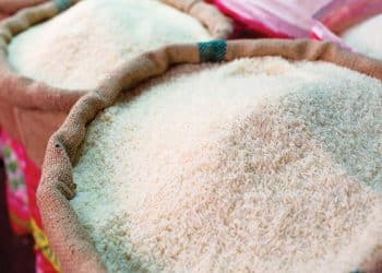 أسعار الأرز الشعير اليوم في مصر