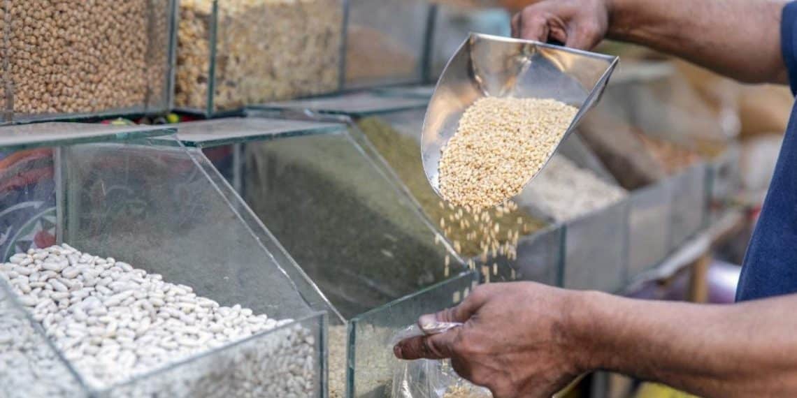 سعر طن الذرة الصفراء اليوم