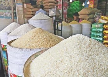 سعر الأرز الشعير اليوم في مصر الخميس 28 ديسمبر 2023 .. انهيار لا يصدق الآن بالأسواق