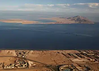 بعد تصدرها السوشيال ميديا .. معلومات غير متوقعة عن رأس جميلة