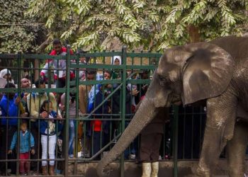 إغلاق حديقة الحيوان