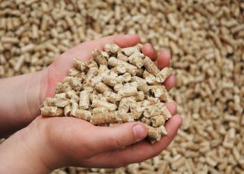 سعر الأعلاف اليوم في مصر الأربعاء 15 نوفمبر 2023 .. زيادة 300 جنيه بالطن