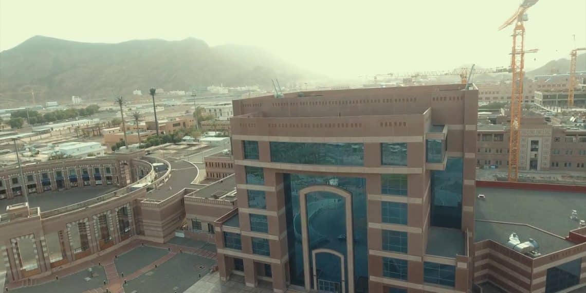 وظائف جامعة طيبة