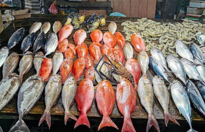 مجموعه من الأسماك والجمبري