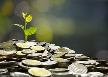 صورة لبعض النقود وفوقها نبته