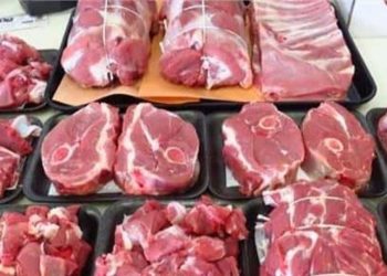 لحم بلدي طازج