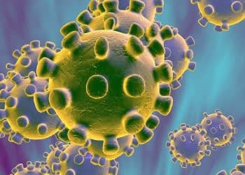 متغير بيرولا