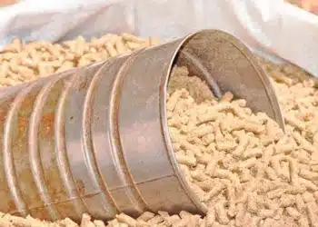 أسعار الأعلاف اليوم في مصر الثلاثاء 24 أكتوبر 2023 .. زيادة صادمة