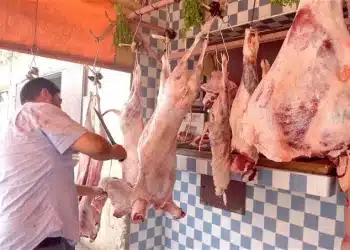 أسعار اللحوم اليوم في مصر الثلاثاء 30 يناير 2024 .. زيادة صادمة بمحلات الجزارة