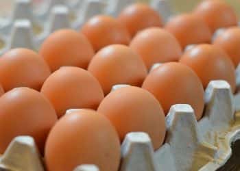 سعر البيض اليوم السبت 3 فبراير 2024 .. ارتفاع لا يصدق باالأسواق