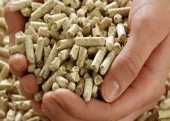 سعر الأعلاف اليوم في مصر الأثنين 30 أكتوبر 2023 .. تذبذب ببداية التعاملات