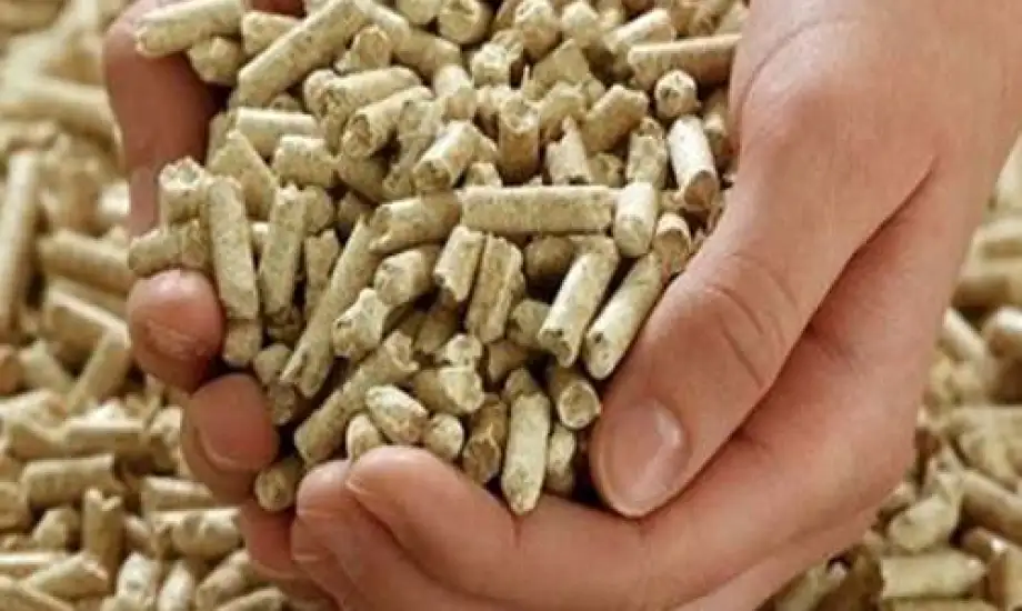 سعر الأعلاف اليوم في مصر