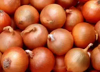 أسعار البصل اليوم في مصر الأربعاء 13 ديسمبر 2023.. صدمة غير متوقعة بالأسواق