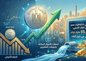 سعر الدولار في مصر