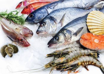 مجموعة من السمك والجمبري