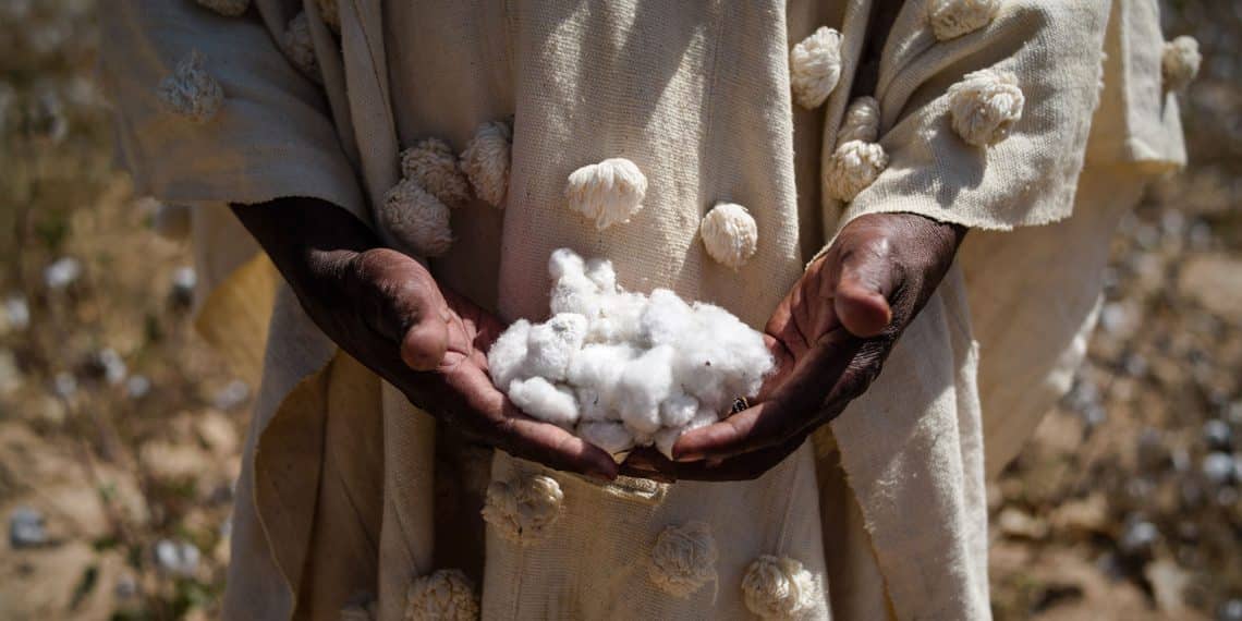 سعر قنطار القطن اليوم في مصر