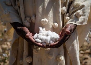 سعر قنطار القطن اليوم في مصر الخميس 11 يناير 2024 .. خبر العمر للفلاحين