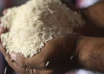 أسعار الأرز الشعير اليوم في مصر : مفاجأة في سعر الكيلو الأبيض