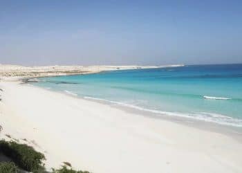 رأس الحكمة الساحل الشمالي .. تعرف على حقيقة بيعها لمستمر عربي