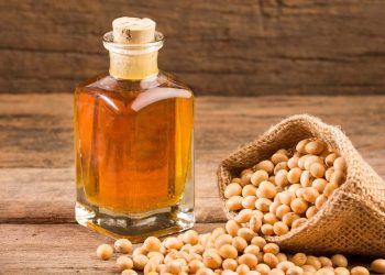 زيت الصويا