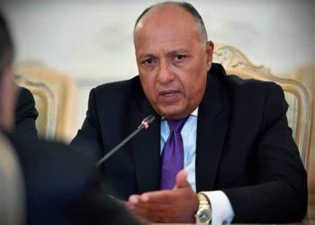 سامح شكري: أي تهديد للأمن القومي المصري والعربي سيواجه بحزم