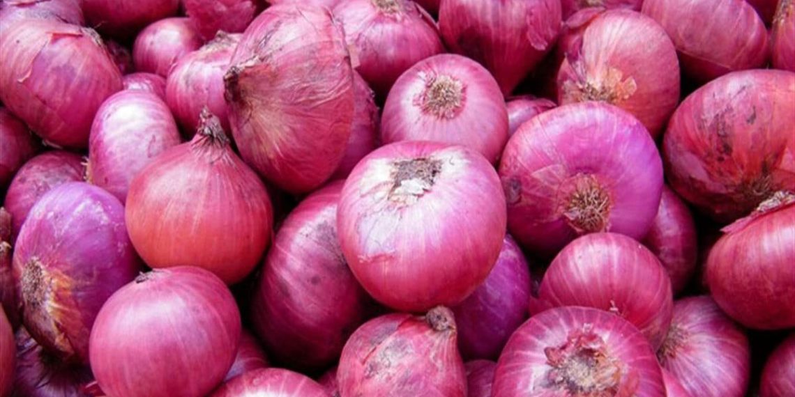 سعر البصل اليوم في السعودية