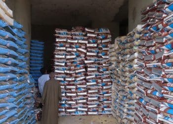 سعر الأعلاف اليوم في مصر الثلاثاء 7 نوفمبر 2023 .. فرصة سعيدة للتجار