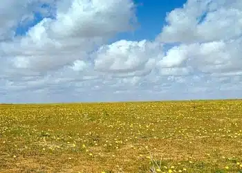 كم باقي على الوسم 1445 .. تعرف على موعد توقف الأمطار