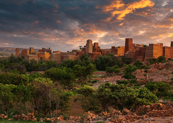 محمية الإمام فيصل بن تركي .. معلومات مثيرة تتكشف للمرة الأولي حولها